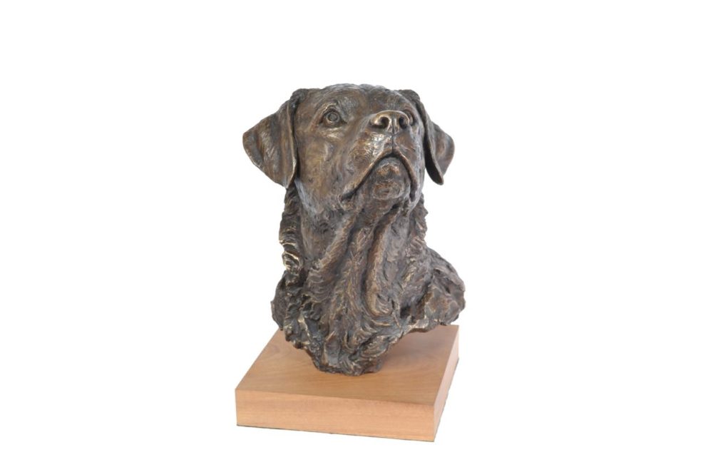 bronze labrador sculpture