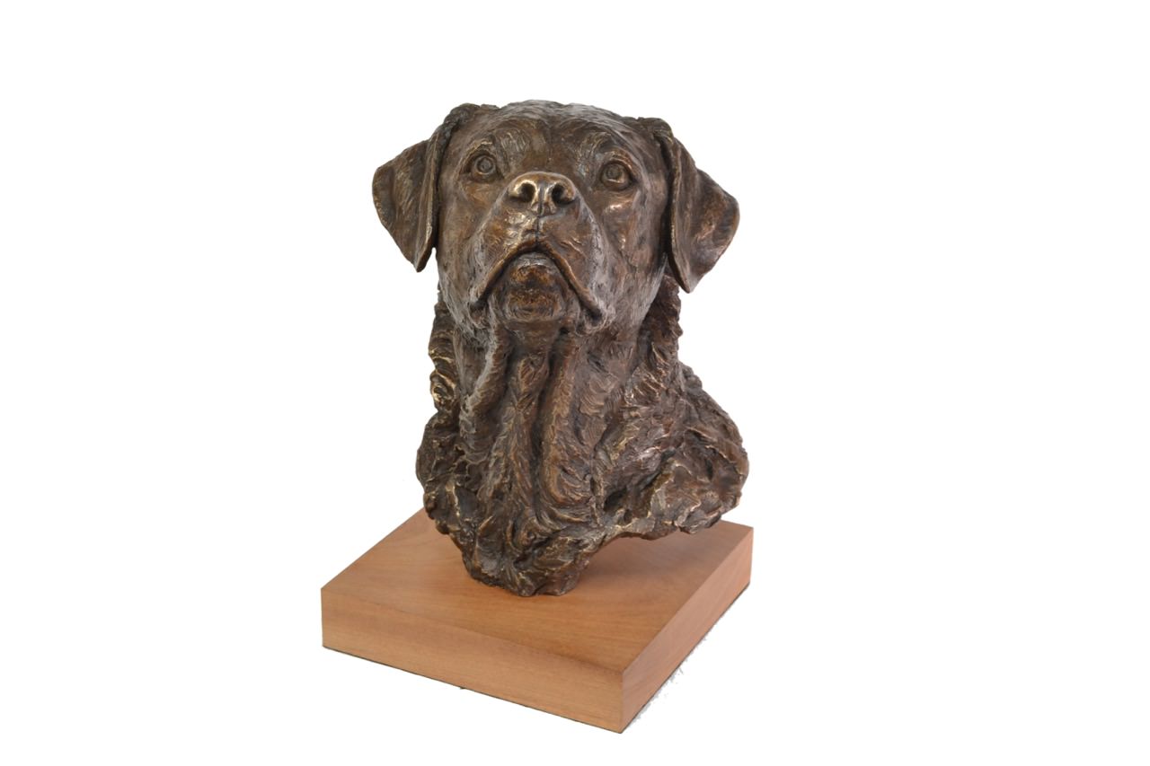 Bronze Labrador Portrait 2 Sculpture Labrador Portrait Statue