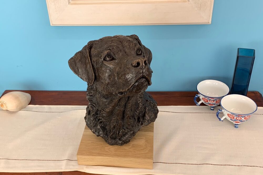 Prince Labrador - set shots