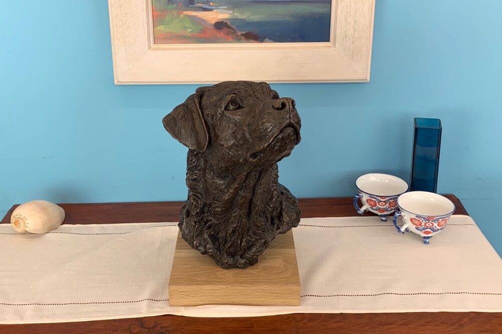 Prince Labrador - set shots