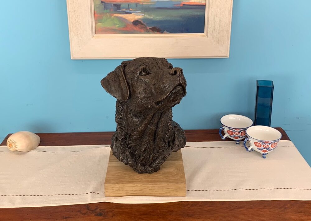 Prince Labrador - set shots