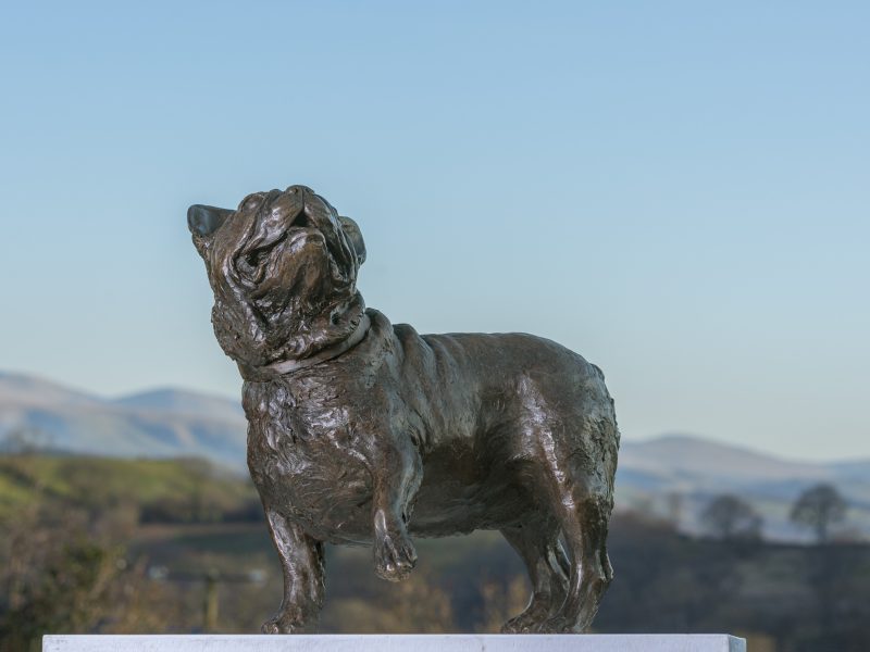 Bronze French Bulldog Sculpture