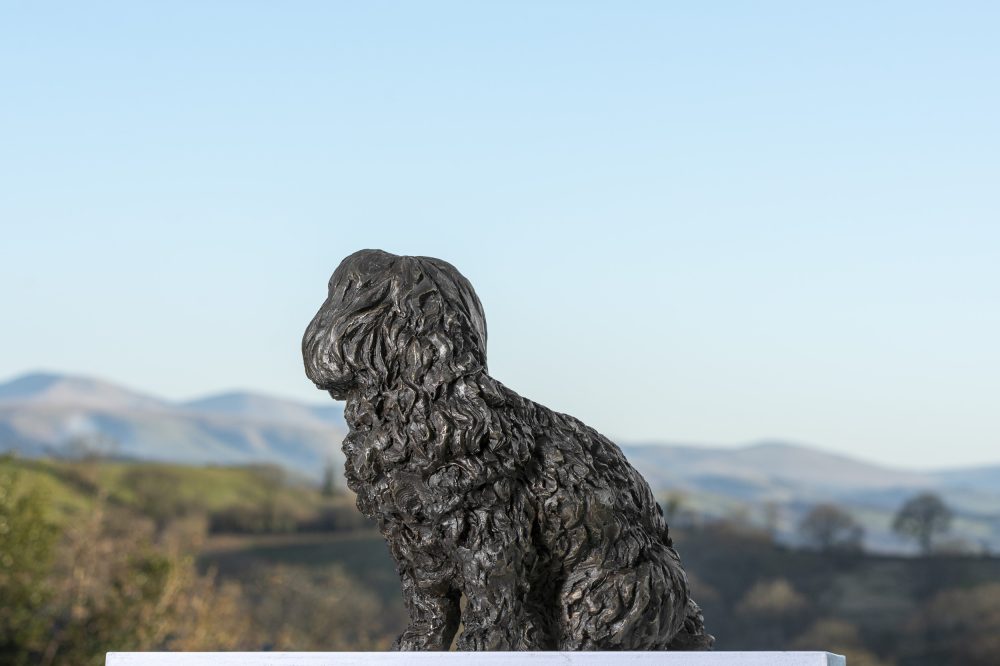 maltese terrier sculpture