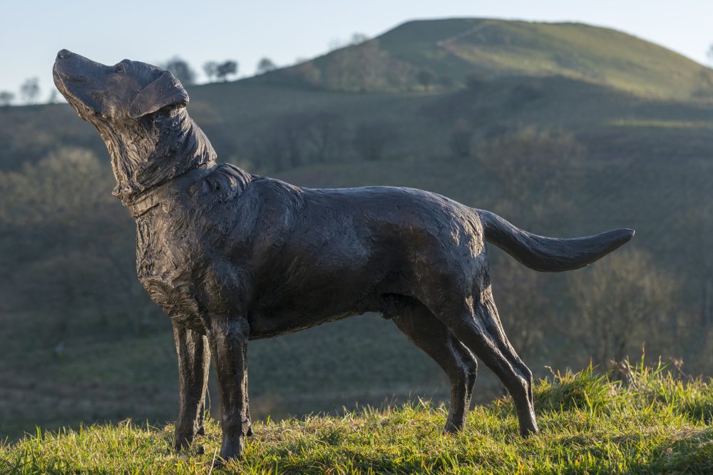 bronze labrador statue