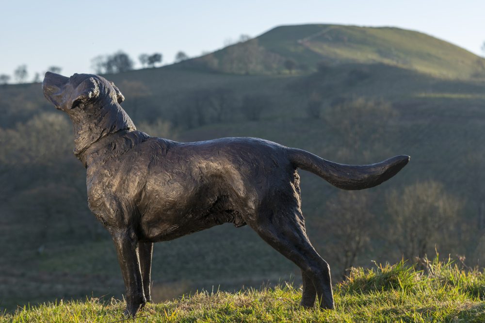 life size labrador statue