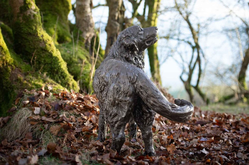 'Wagging Golden Retreiver', Bronze Dog, Dog Sculpture, Dog Statue, Bronze Resin, Tanya Russell Animal Sculptures-12