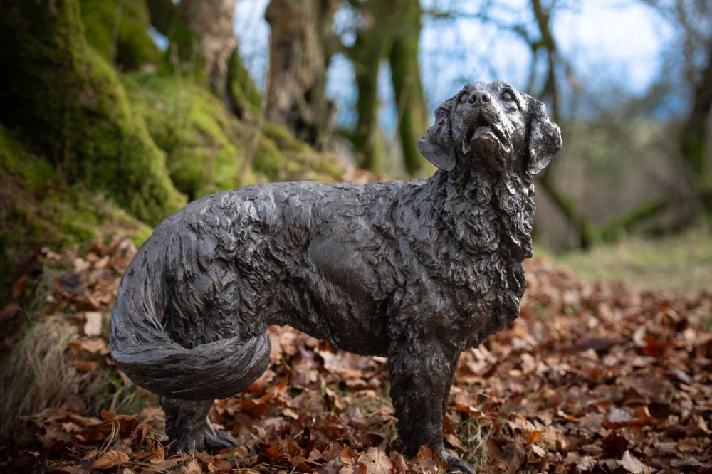 'Wagging Golden Retreiver', Bronze Dog, Dog Sculpture, Dog Statue, Bronze Resin, Tanya Russell Animal Sculptures-2
