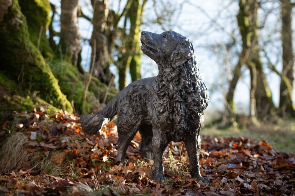 'Wagging Golden Retreiver', Bronze Dog, Dog Sculpture, Dog Statue, Bronze Resin, Tanya Russell Animal Sculptures-9