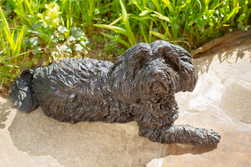 1 'Lying Tebetan Terrier', Dog Statue, Bronze Resin, Tanya Russell Animal Sculptures (2 of 14)