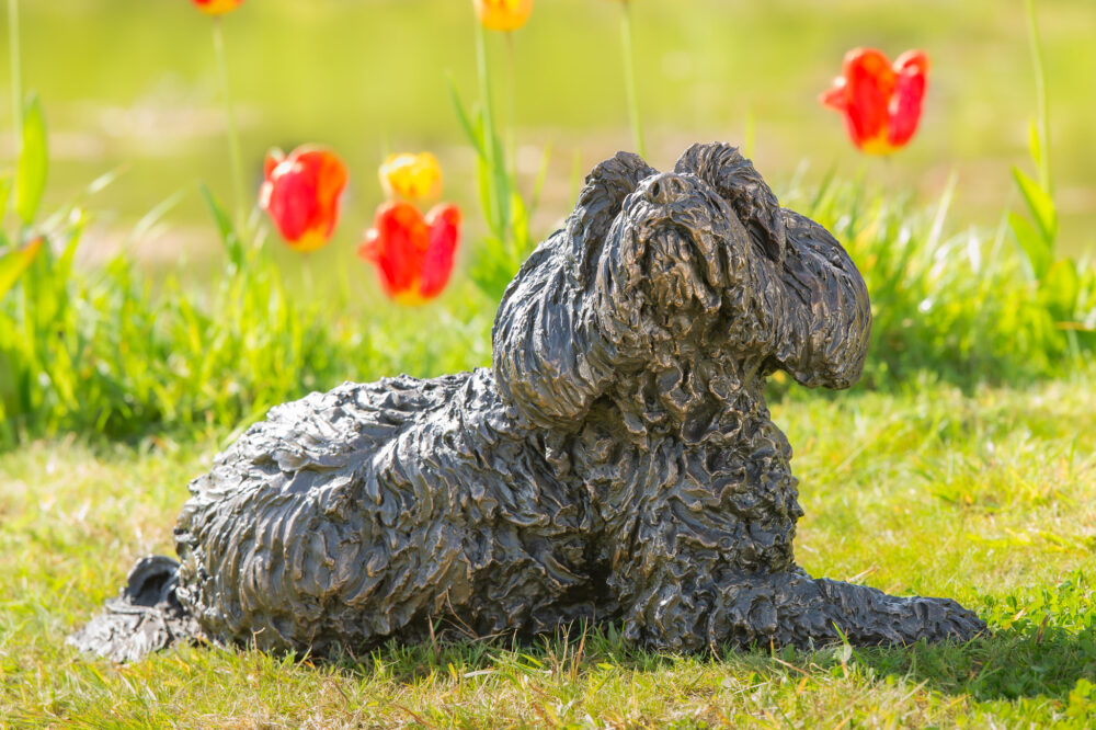 2 'Lying Tebetan Terrier', Dog Statue, Bronze Resin, Tanya Russell Animal Sculptures (3 of 14)