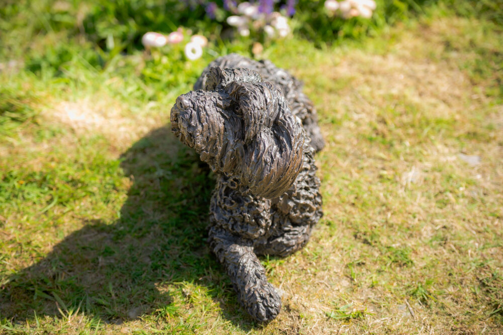 3 'Lying Tebetan Terrier', Dog Statue, Bronze Resin, Tanya Russell Animal Sculptures (5 of 14)