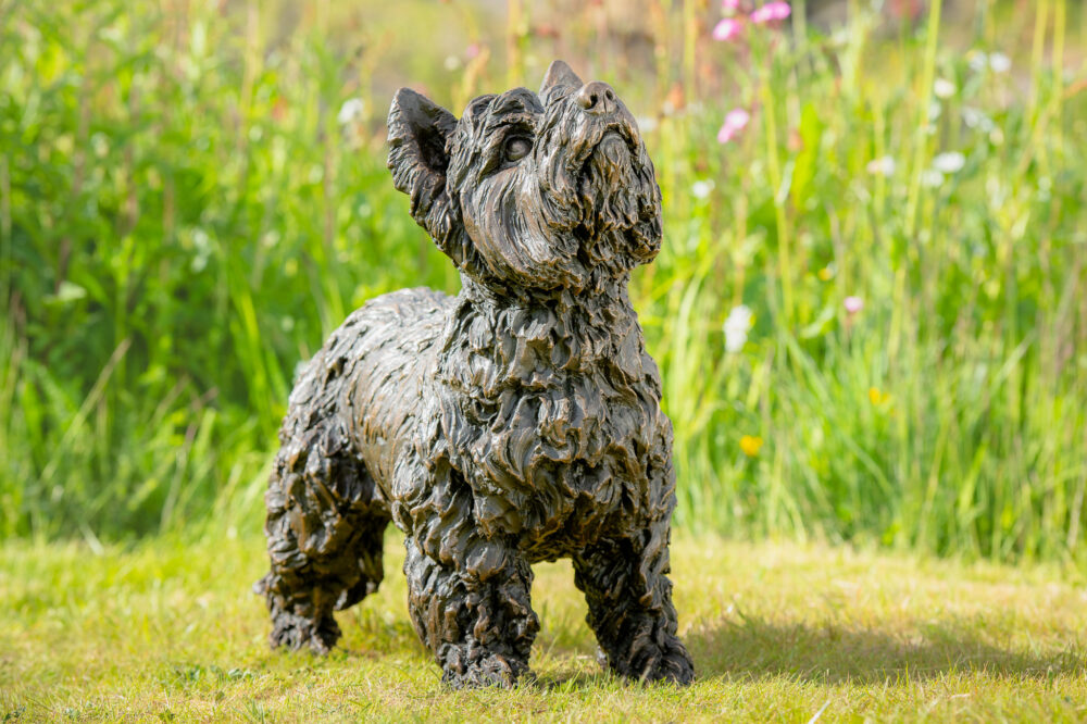 3 'Standing Yorkshire Terrier', Dog Sculpture, Dog Statue, Bronze Resin, Tanya Russell Animal Sculptures (10 of 22)