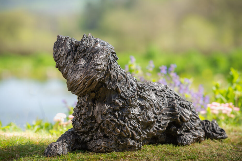 4 'Lying Tebetan Terrier', Dog Statue, Bronze Resin, Tanya Russell Animal Sculptures (7 of 14)