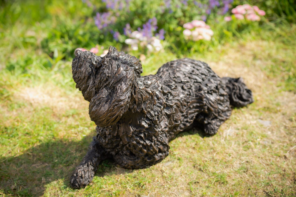 5 'Lying Tebetan Terrier', Dog Statue, Bronze Resin, Tanya Russell Animal Sculptures (8 of 14)
