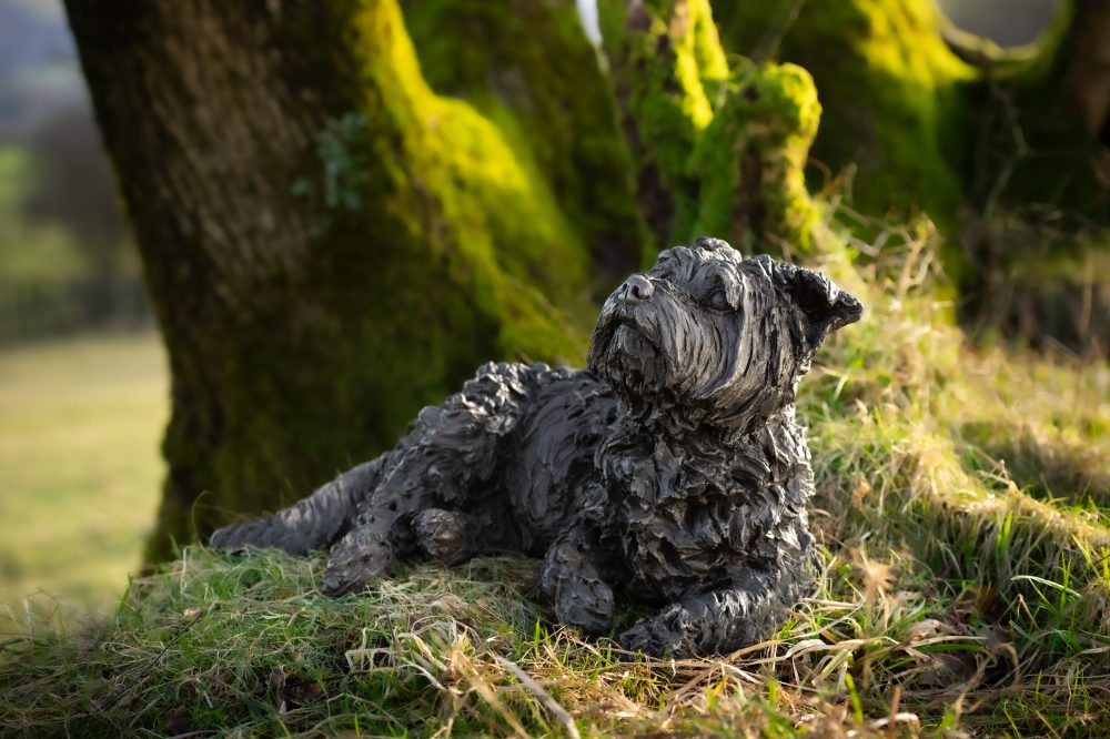 5 'Lying Yorkshire Terrier', Bronze Dog, Dog Sculpture, Dog Statue, Bronze Resin, Tanya Russell Animal Sculptures-3