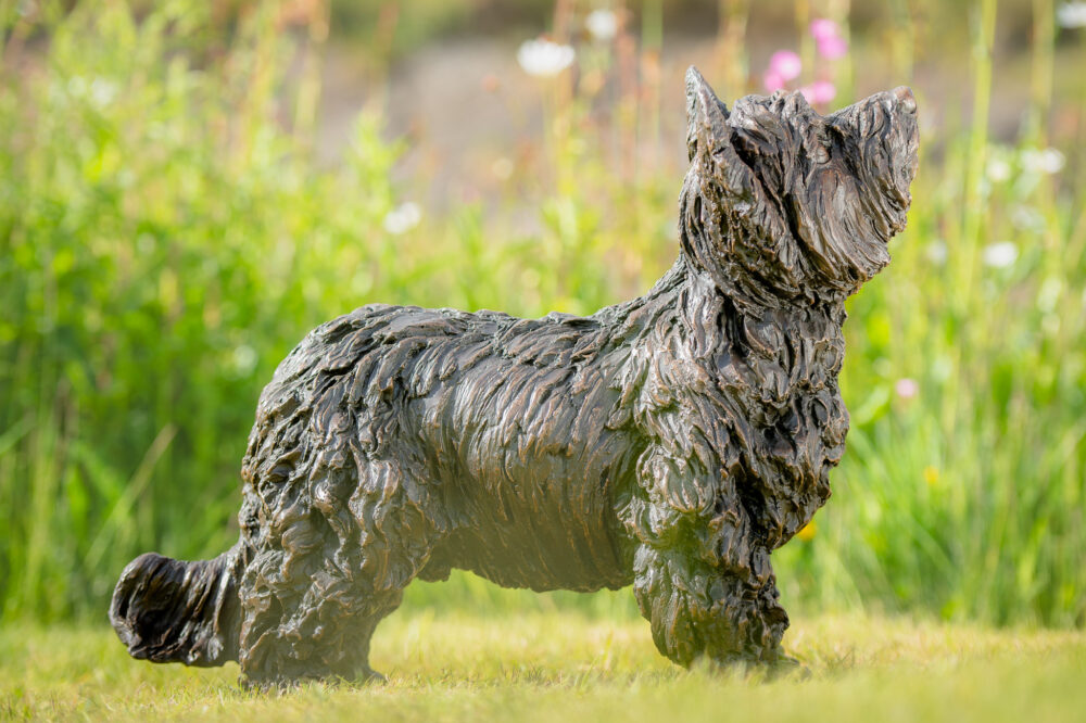 5 'Standing Yorkshire Terrier', Dog Sculpture, Dog Statue, Bronze Resin, Tanya Russell Animal Sculptures (12 of 22)