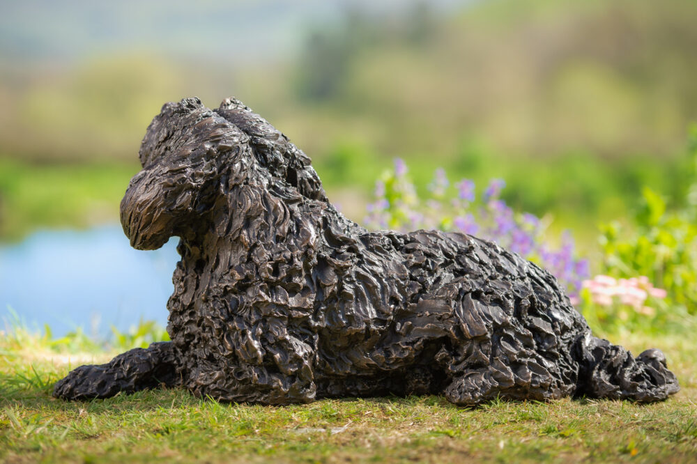 6 'Lying Tebetan Terrier', Dog Statue, Bronze Resin, Tanya Russell Animal Sculptures (9 of 14)