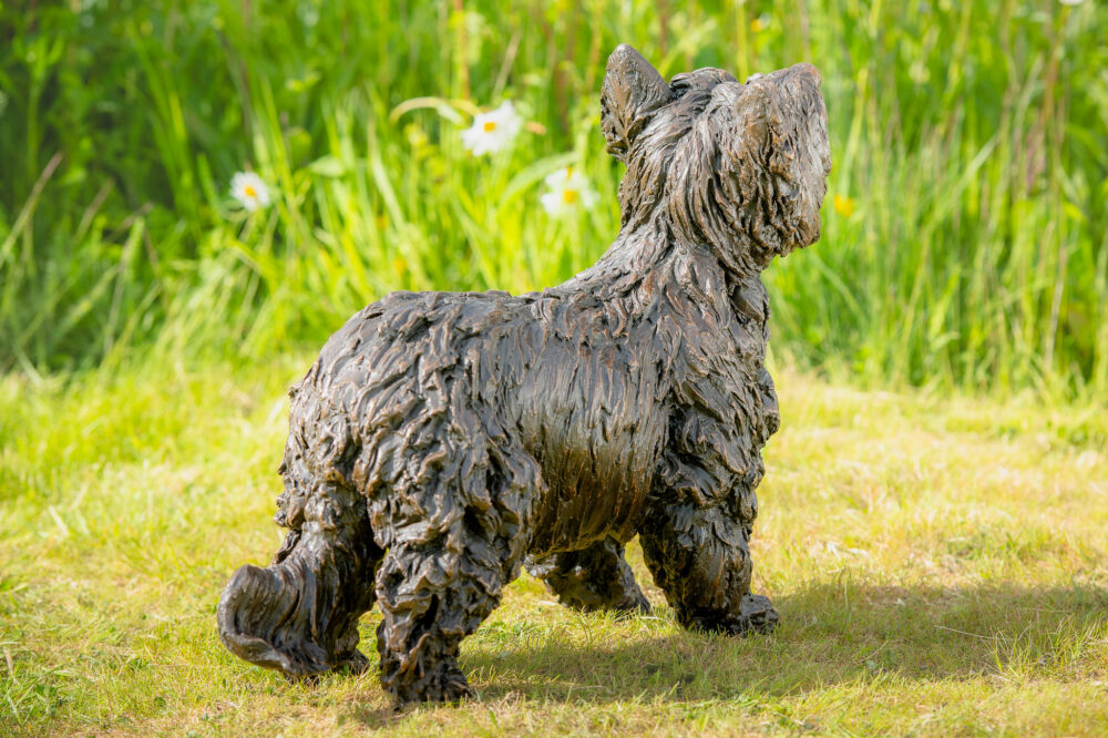 6 'Standing Yorkshire Terrier', Dog Sculpture, Dog Statue, Bronze Resin, Tanya Russell Animal Sculptures (13 of 22)
