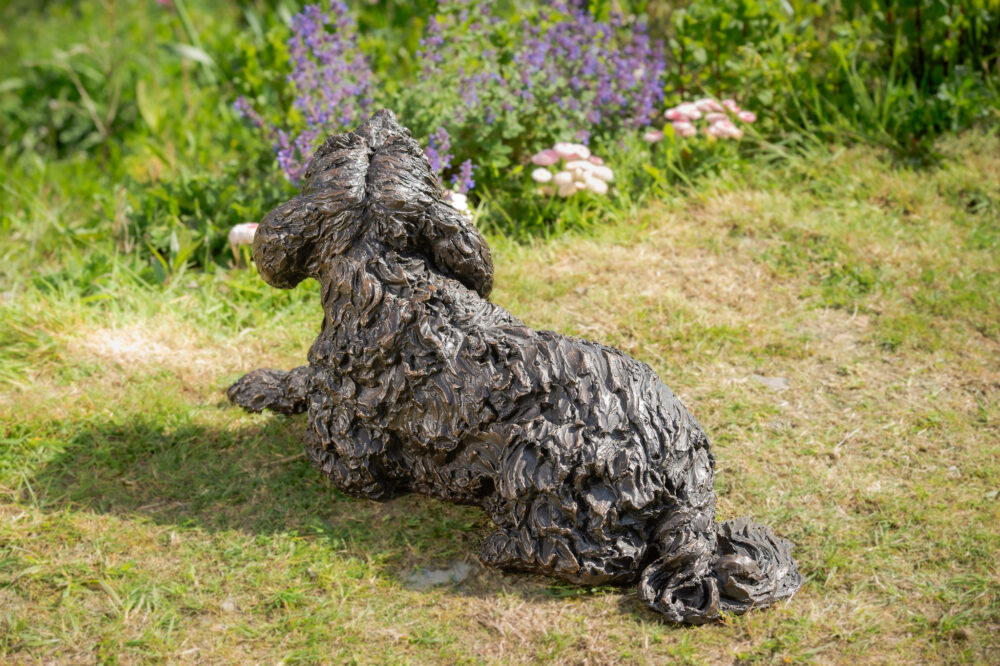 7 'Lying Tebetan Terrier', Dog Statue, Bronze Resin, Tanya Russell Animal Sculptures (10 of 14)