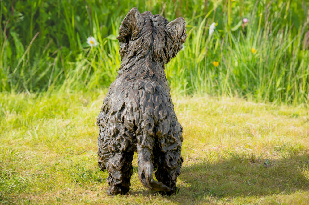 7 'Standing Yorkshire Terrier', Dog Sculpture, Dog Statue, Bronze Resin, Tanya Russell Animal Sculptures (15 of 22)