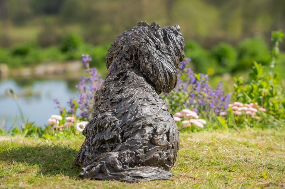 8 'Lying Tebetan Terrier', Dog Statue, Bronze Resin, Tanya Russell Animal Sculptures (12 of 14)