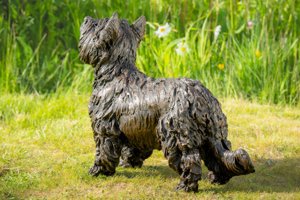 8 'Standing Yorkshire Terrier', Dog Sculpture, Dog Statue, Bronze Resin, Tanya Russell Animal Sculptures (18 of 22)