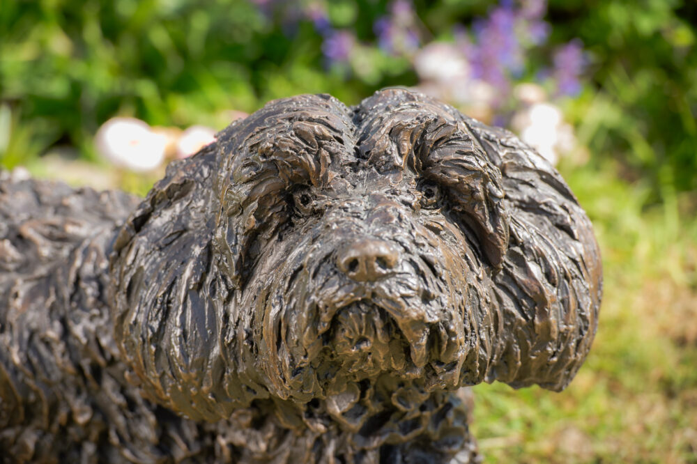 9 'Lying Tebetan Terrier', Dog Statue, Bronze Resin, Tanya Russell Animal Sculptures (14 of 14)