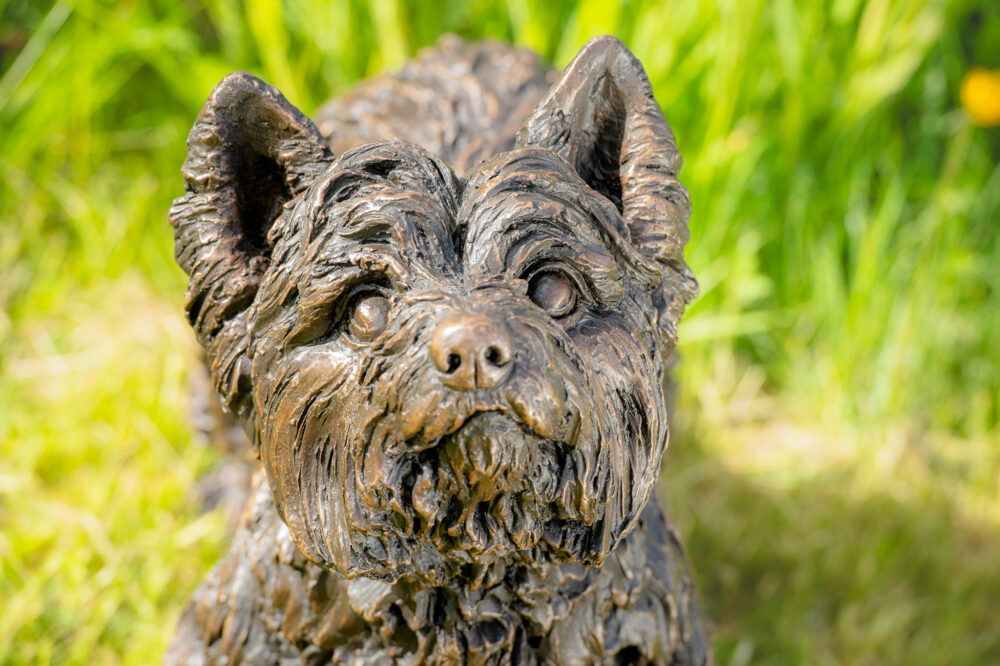 9 'Standing Yorkshire Terrier', Dog Sculpture, Dog Statue, Bronze Resin, Tanya Russell Animal Sculptures (20 of 22)