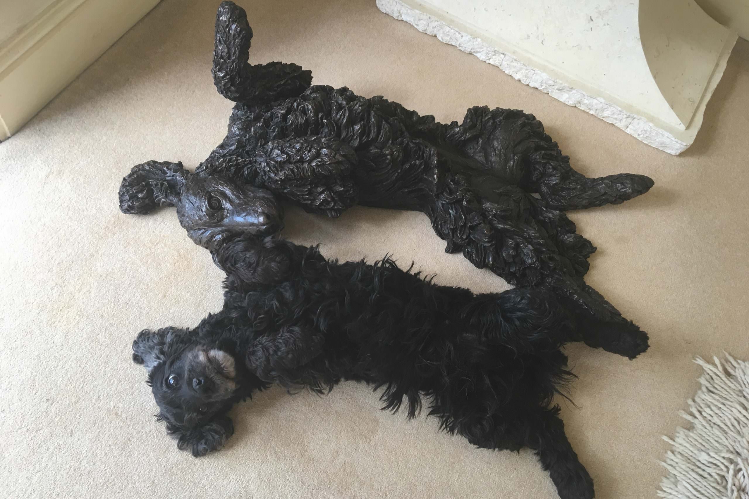 Cocker Spaniel Rolling Sculpture - Tanya Russell Small Bull Sculpture
