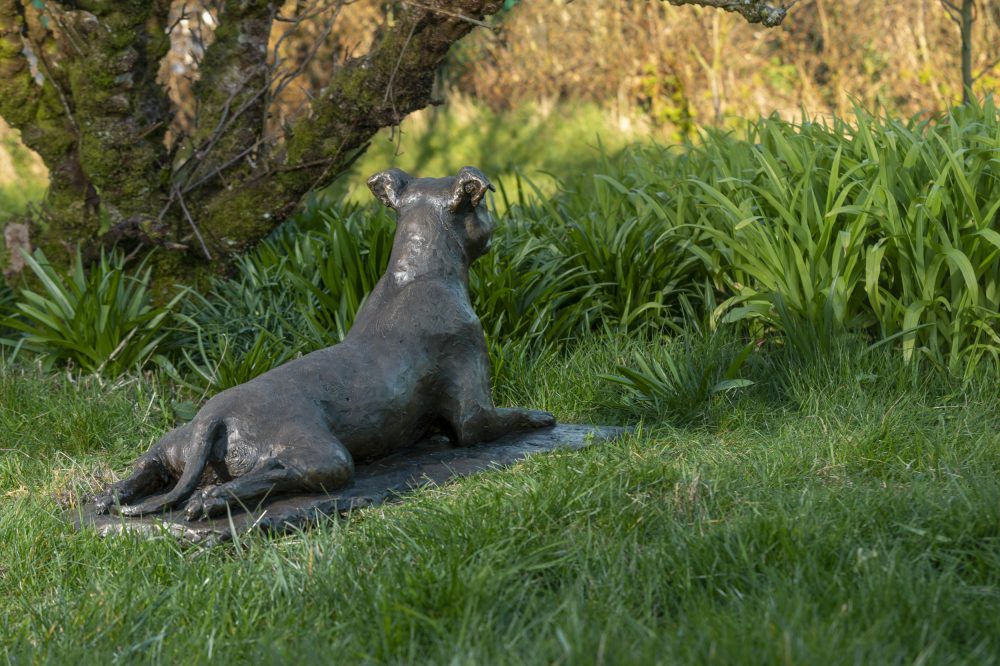 Staffordshire Bull Terrier Bronze