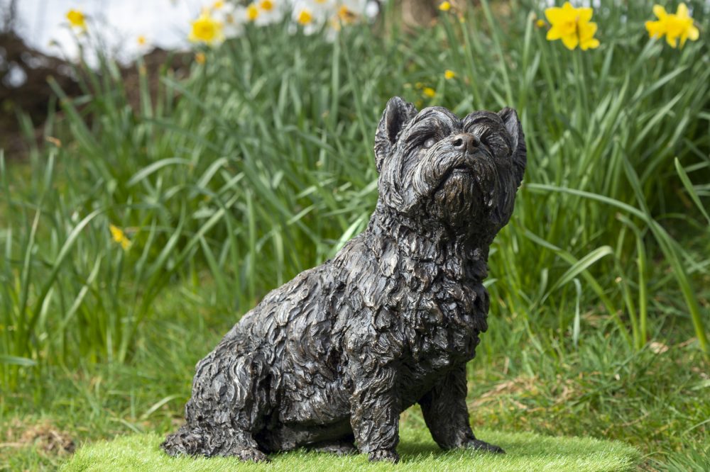 Sitting West Highland Terrier