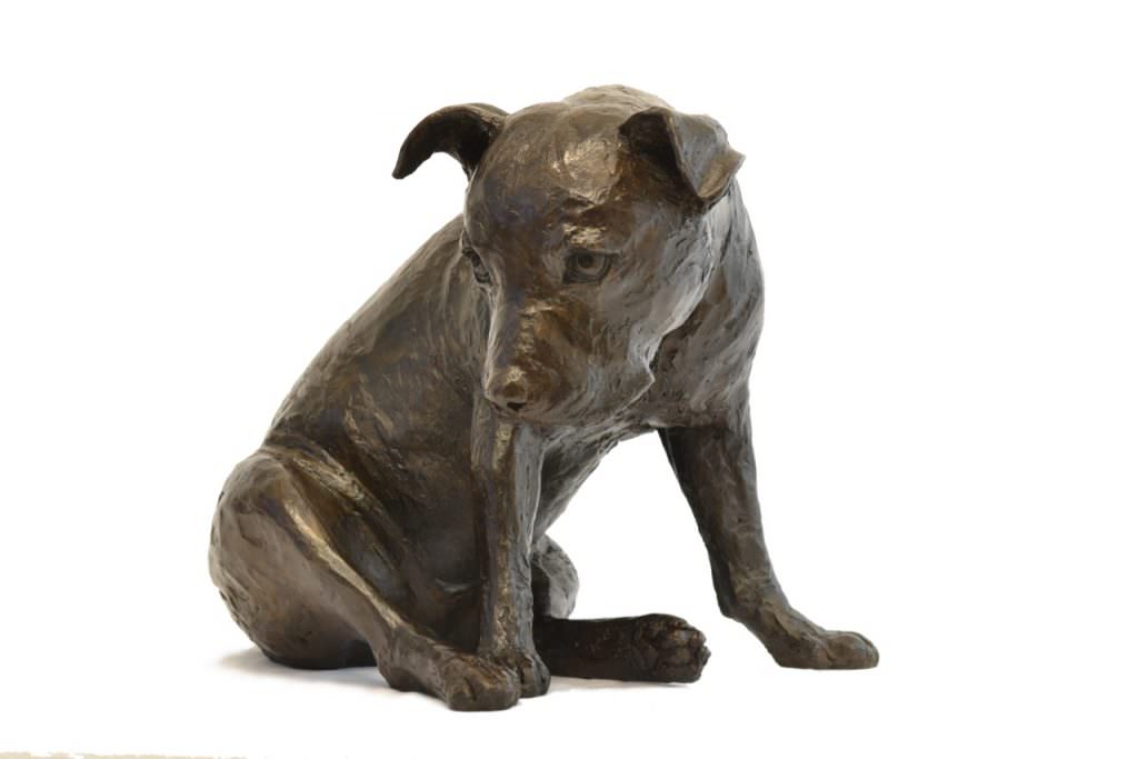 Bronze Sitting Staffie sculpture by Tanya Russell