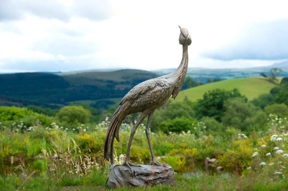 4 'Walking Crane', Crane Sculpture, Bronze Crane, Foundry Bronze Metal, Tanya Russell Animal Sculptures-6