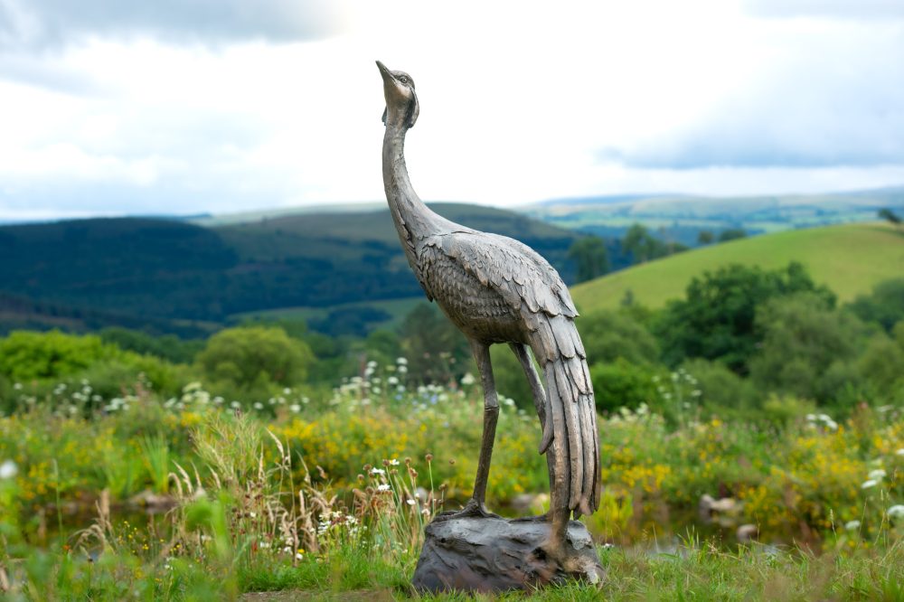 6 'Walking Crane', Crane Sculpture, Bronze Crane, Foundry Bronze Metal, Tanya Russell Animal Sculptures-9
