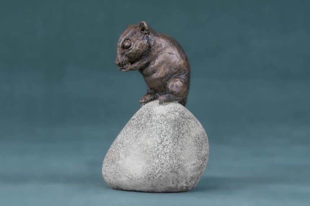 Tanya Russell - Dormouse Sitting on Stone BR - WebSize - (2)
