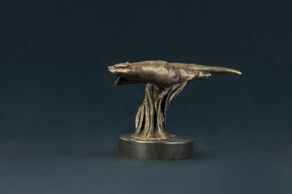 7 Tanya Russell animal sculptures - bronze Swimming Otter sculpture otters statue BR_11