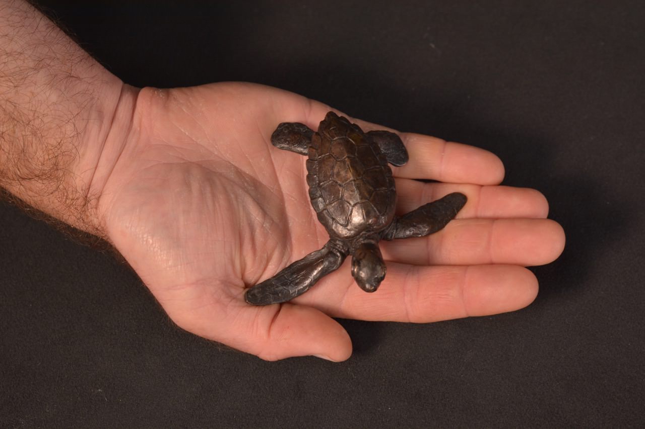 Bronze turtle statue