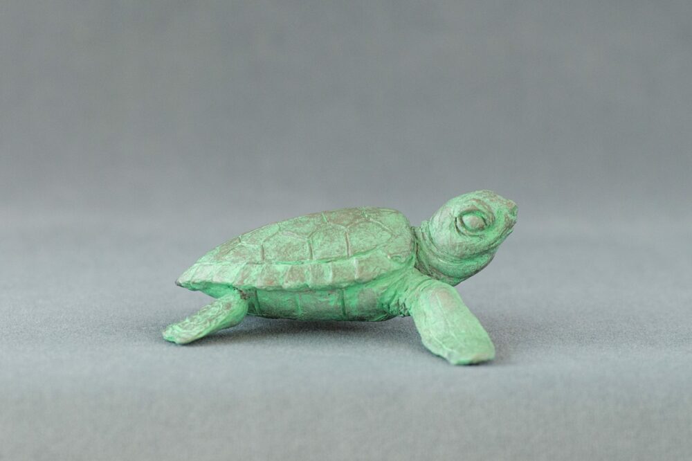 'Baby Turtle Raising it's Head', Bronze Turtles, Turtle Sculpture, Turtle Statue, Bronze Resin Tanya Russell Animal Sculptures (6 of 10)