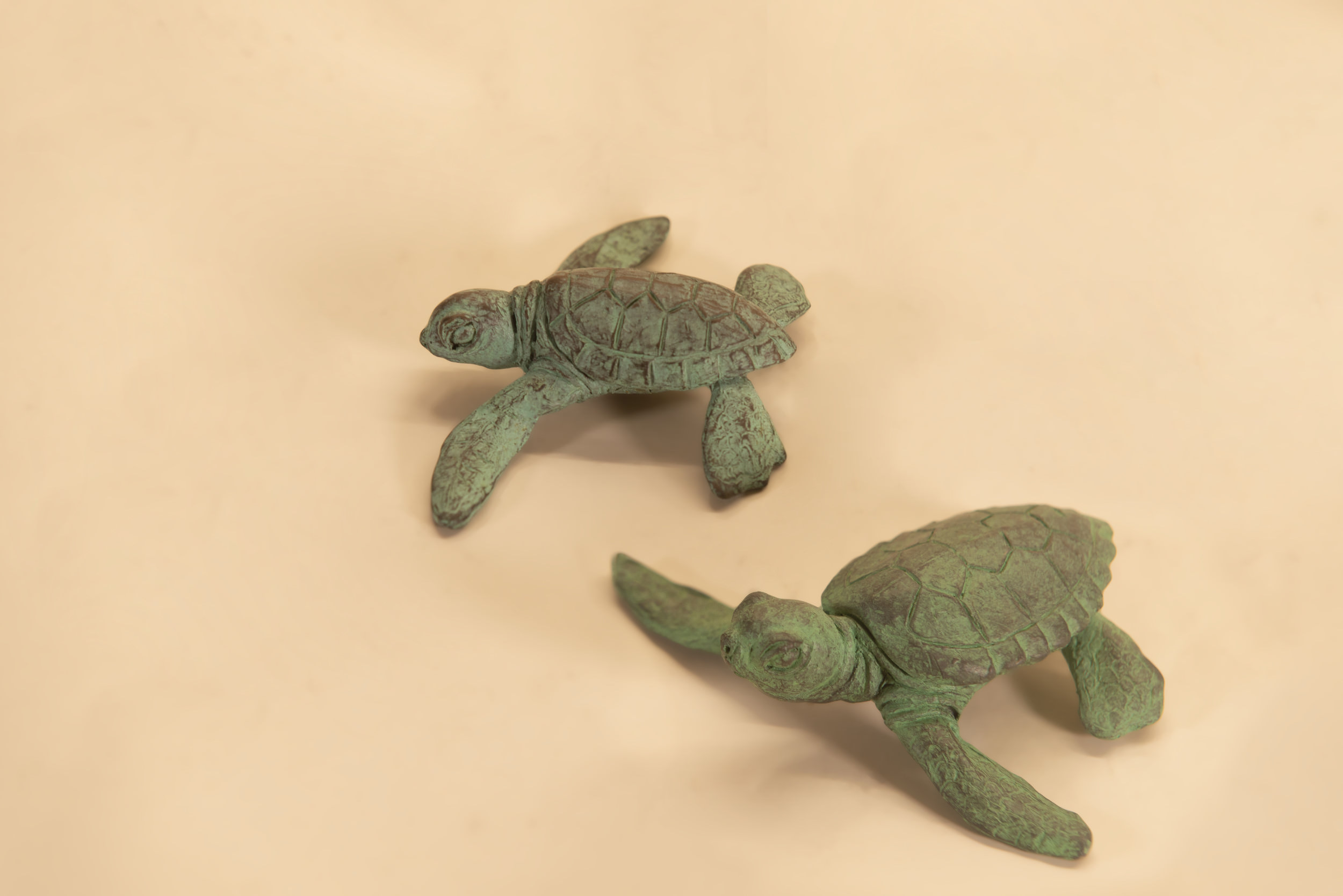 Pair of Baby Turtles Sculpture | Bronze Turtle Statue | Sea Turtle