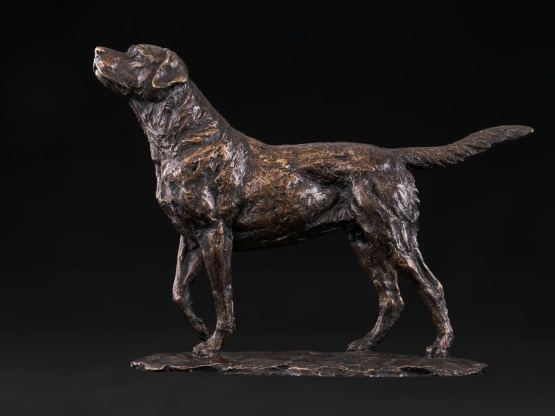 Labrador dog sculpture