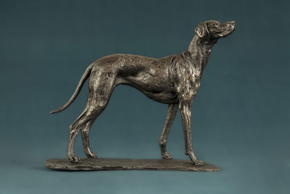 vizsla dog statue in bronze