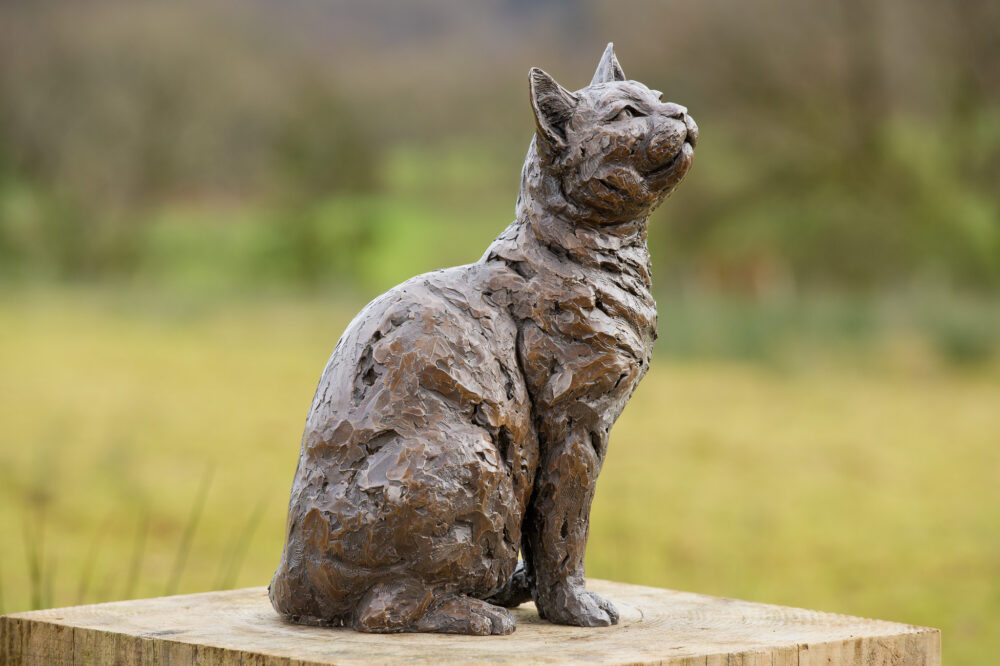 10 'Sitting Cat', Cat Sculpture, Cat Statue, Bronze Resin, Tanya Russell Animal Sculptures (3 of 9)