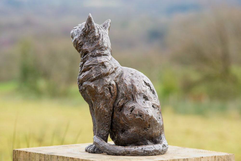 11 'Sitting Cat', Cat Sculpture, Cat Statue, Bronze Resin, Tanya Russell Animal Sculptures (6 of 9)