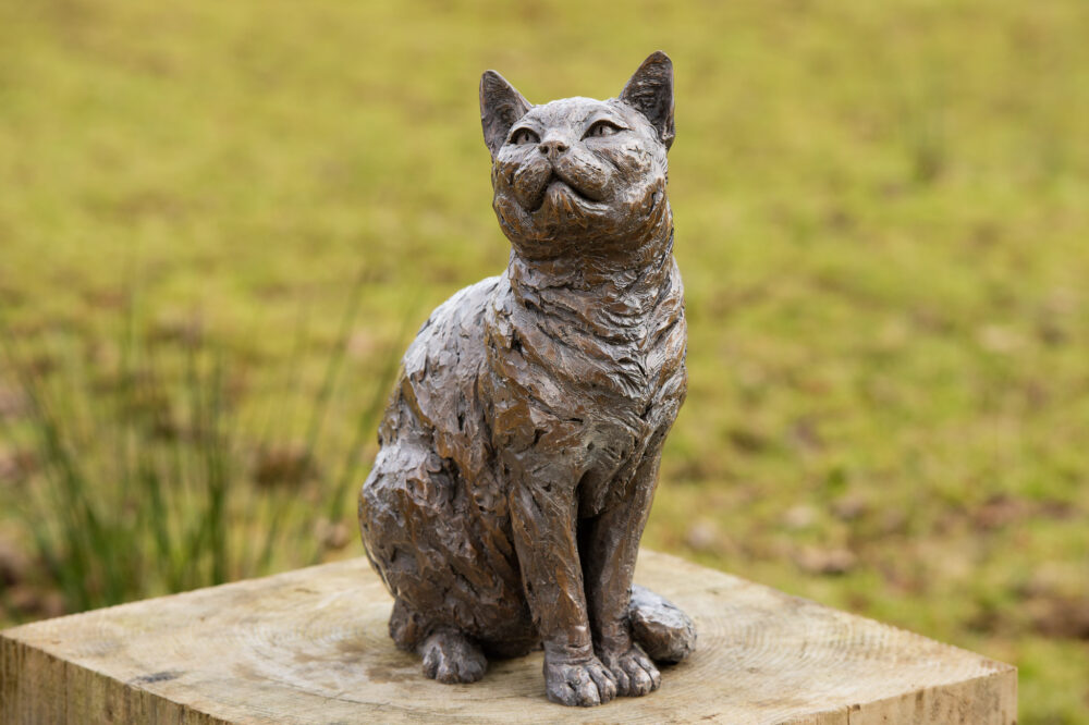 12 'Sitting Cat', Cat Sculpture, Cat Statue, Bronze Resin, Tanya Russell Animal Sculptures (5 of 9)