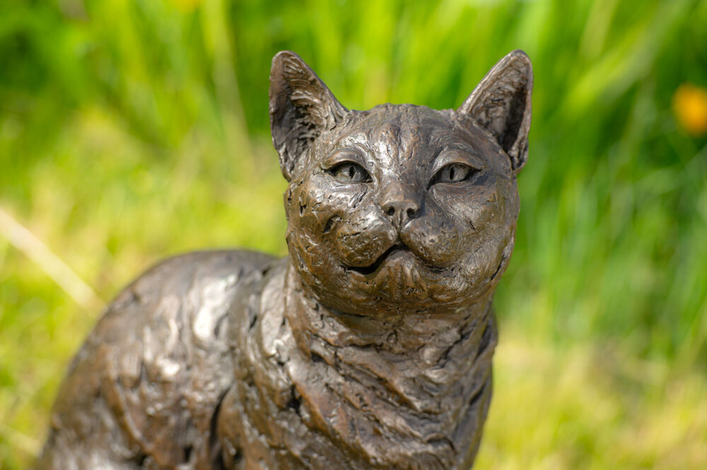 2 'Sitting Cat', Cat Sculpture, Cat Statue, Bronze Resin, Tanya Russell Animal Sculptures (10 of 10)