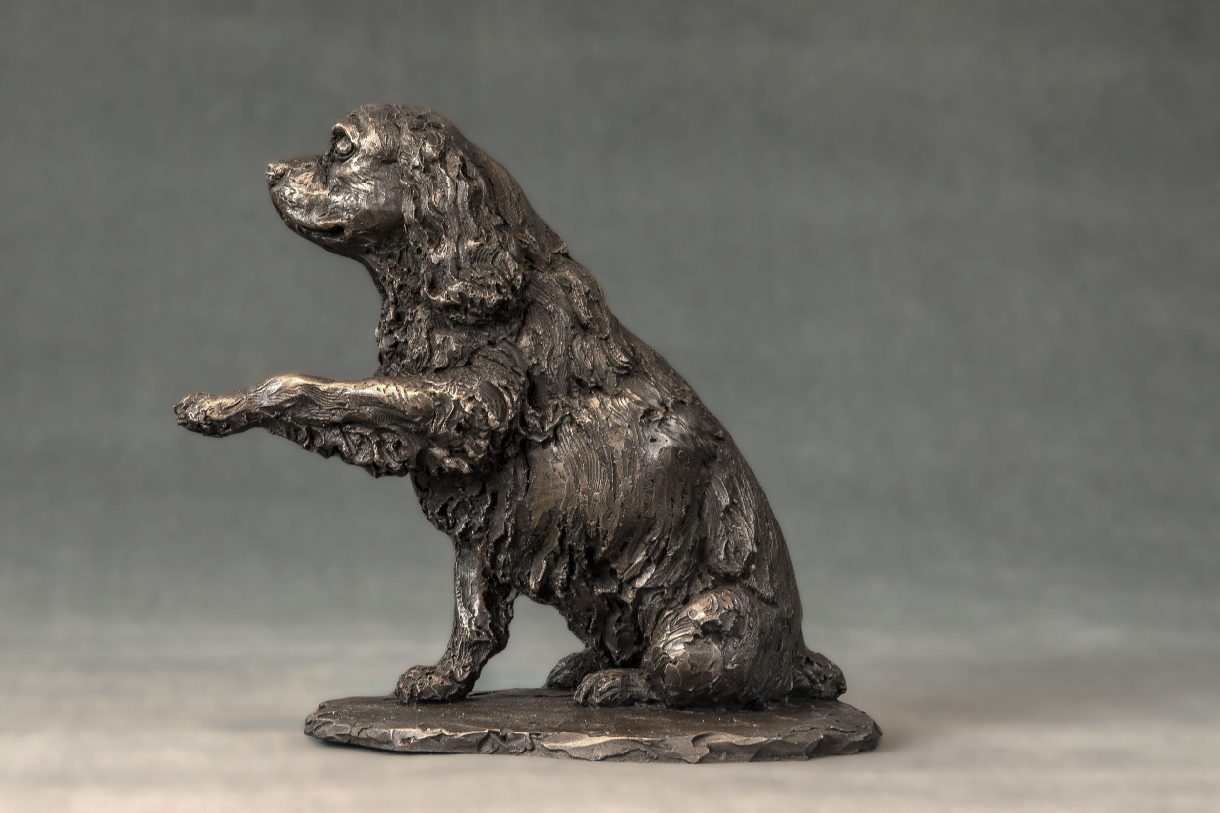 Bronze Cavalier King Charles Sculpture Bronze