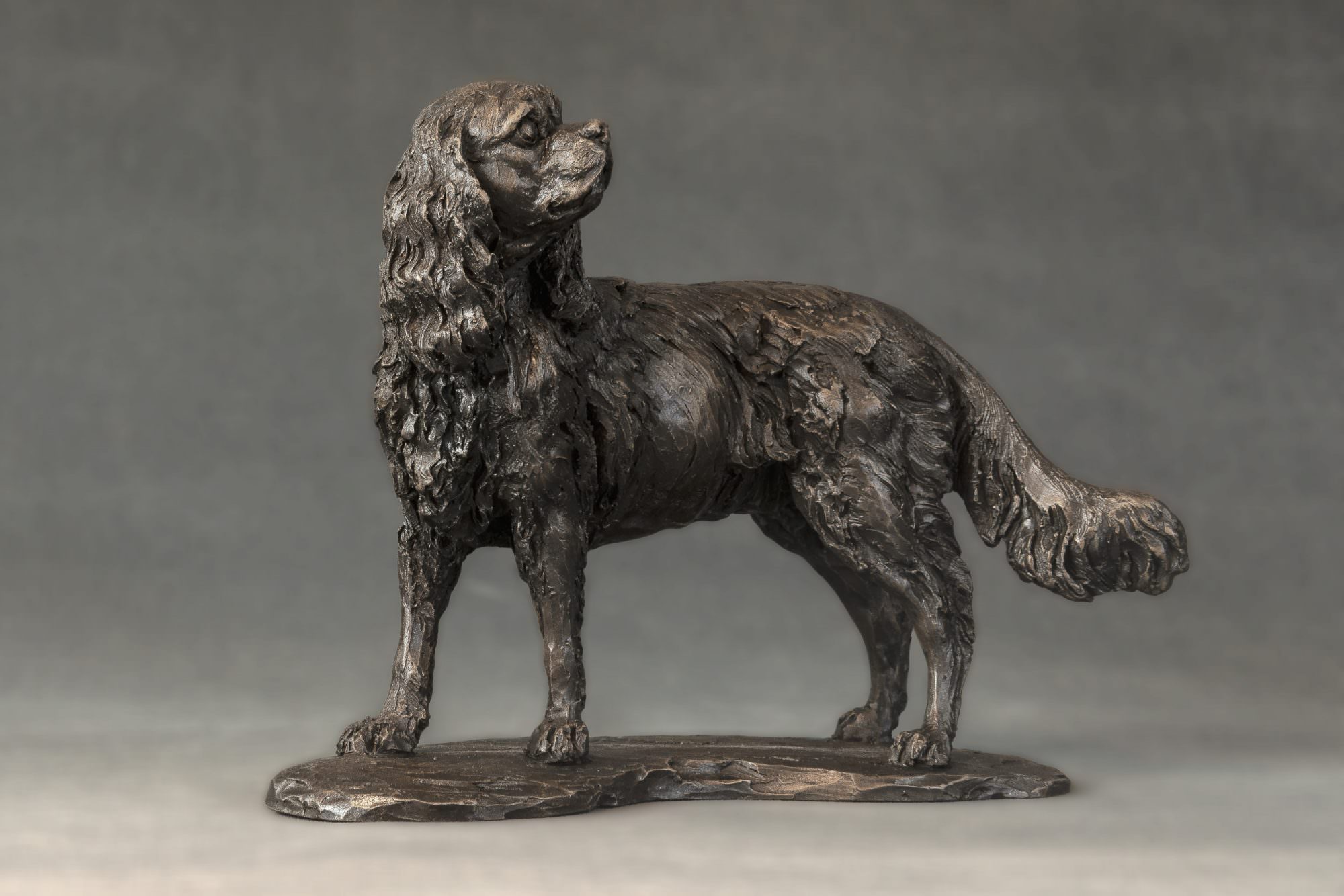Bronze Standing Cavalier King Charles Spaniel