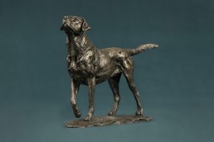 bronze labrador