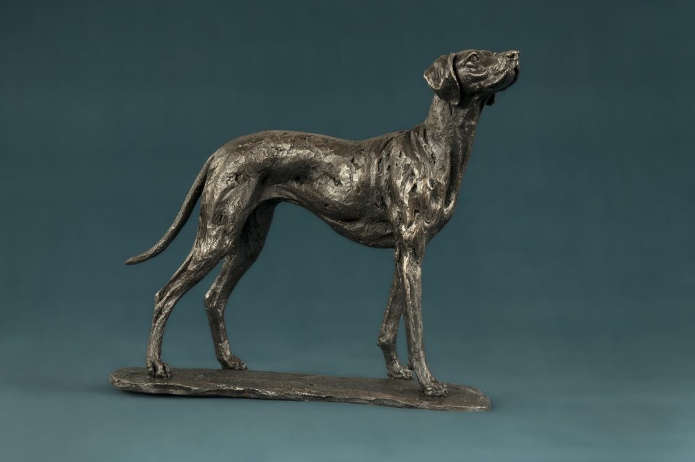 bronze vizsla dog statue