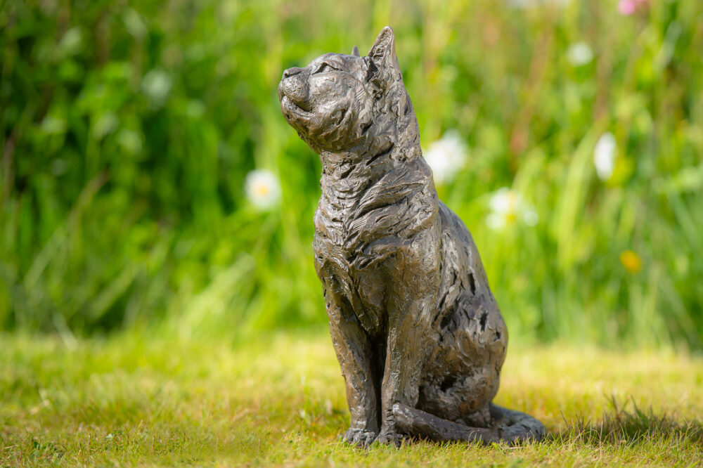 3 'Sitting Cat', Cat Sculpture, Cat Statue, Bronze Resin, Tanya Russell Animal Sculptures (4 of 10)